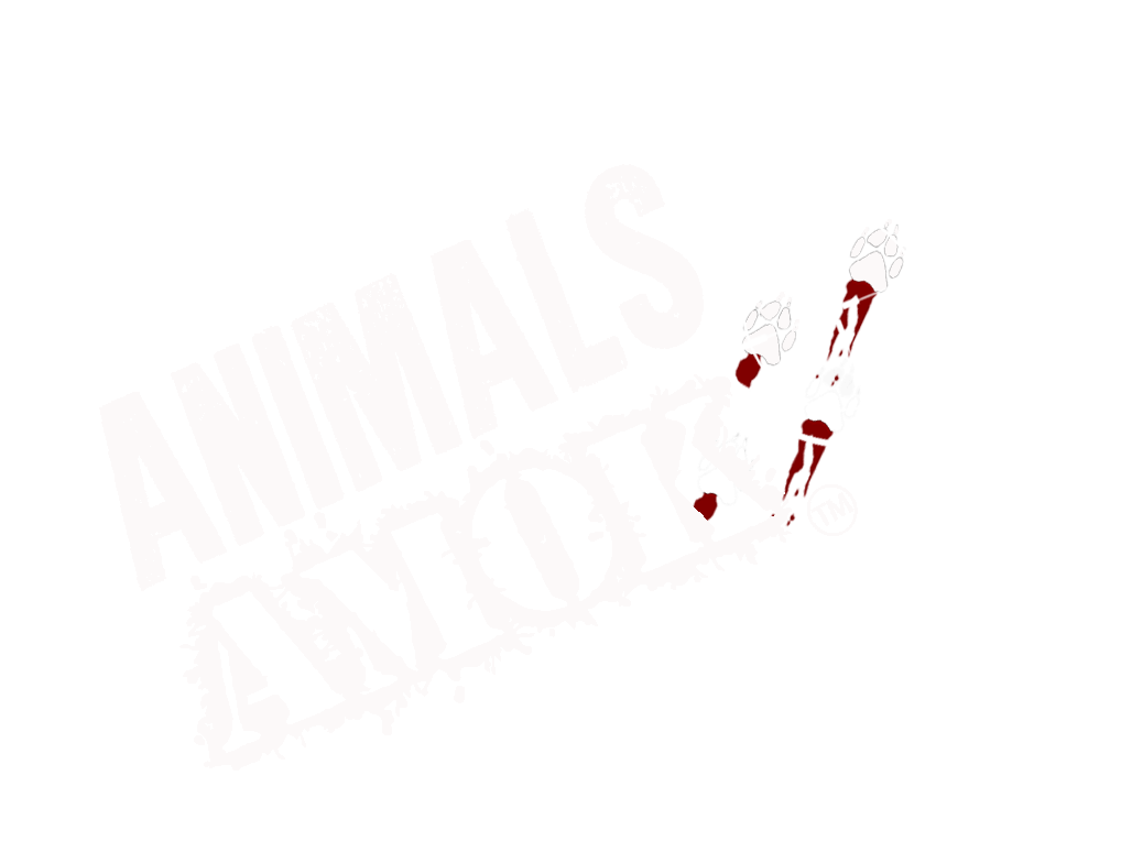 ANIMALS AMOK